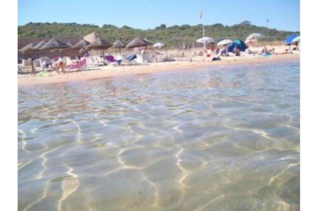 Апартаменти La Stanza Vicino Al Mare , Una Camera Da Letto E Bagno Con Balcone Vista Mare Балестрате Екстер'єр фото